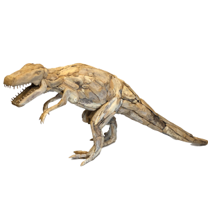 Teak Root T-Rex Sculpture Sm