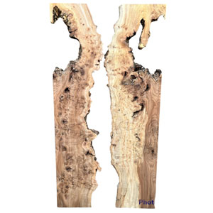 200 x100 Burr Elm DRV1