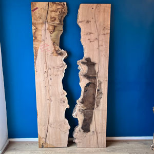 200 x100 Burr Oak DRV17