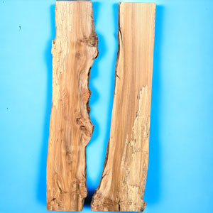 200 x 100 Character Elm (DRV28)