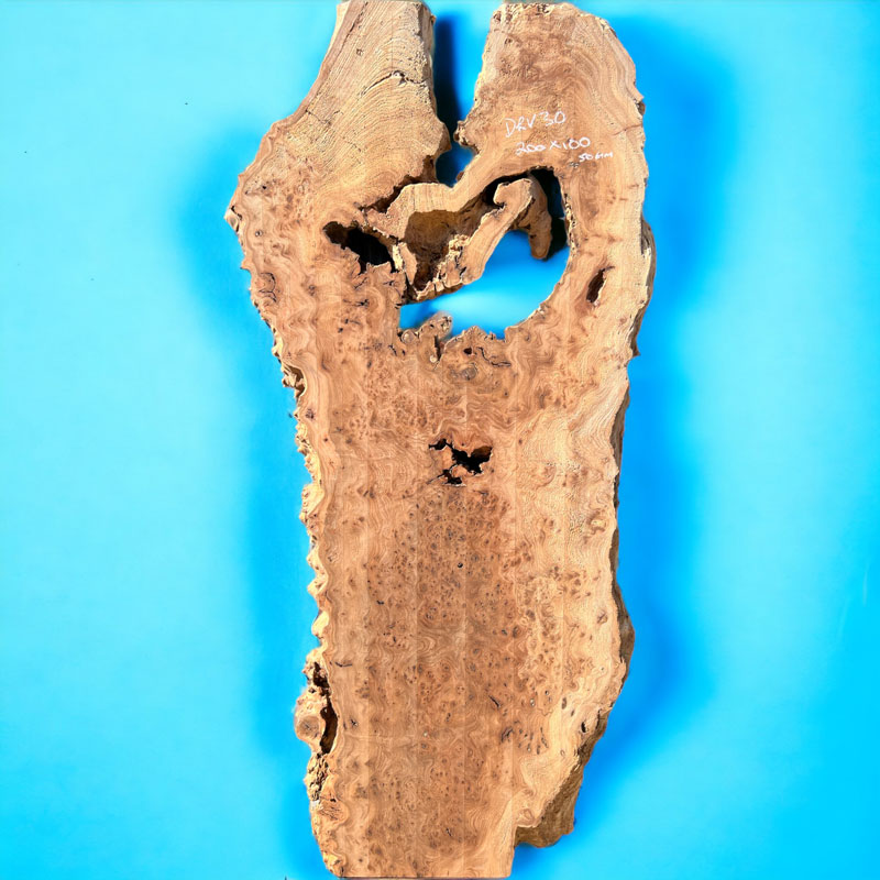 200 x 100 Full Burr Elm (DRV30)
