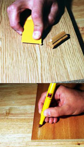 Professional Touch-up and Repair Kit