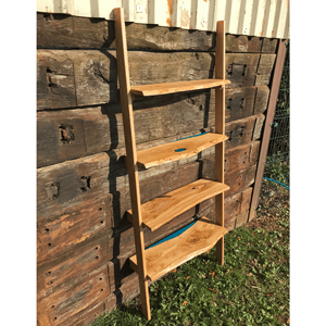 Olive & Resin Ladder Bookshelf (SOLD)