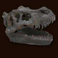 Large T-Rex Skull Wall Head