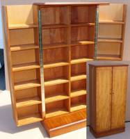 Fold Out Blu-Ray Storage Cabinet in Yew