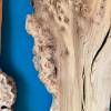 152 x 100 Burr Elm DRV19 Thumbnail