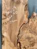 160 X 90 Burr Elm DRV29 Thumbnail