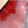 Walnut & Red Lava River Dining Table Thumbnail