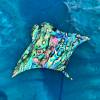 Manta Ray Family & Ocean Art River Coffee Table Thumbnail