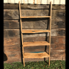 Olive & Resin Ladder Bookshelf  (SOLD) Thumbnail