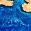 Olive Root Ocean Dining Table Thumbnail